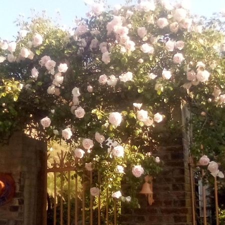Arthonnay La Grille Fleurie, Chambres D'Hote Chez L'Habitant المظهر الخارجي الصورة