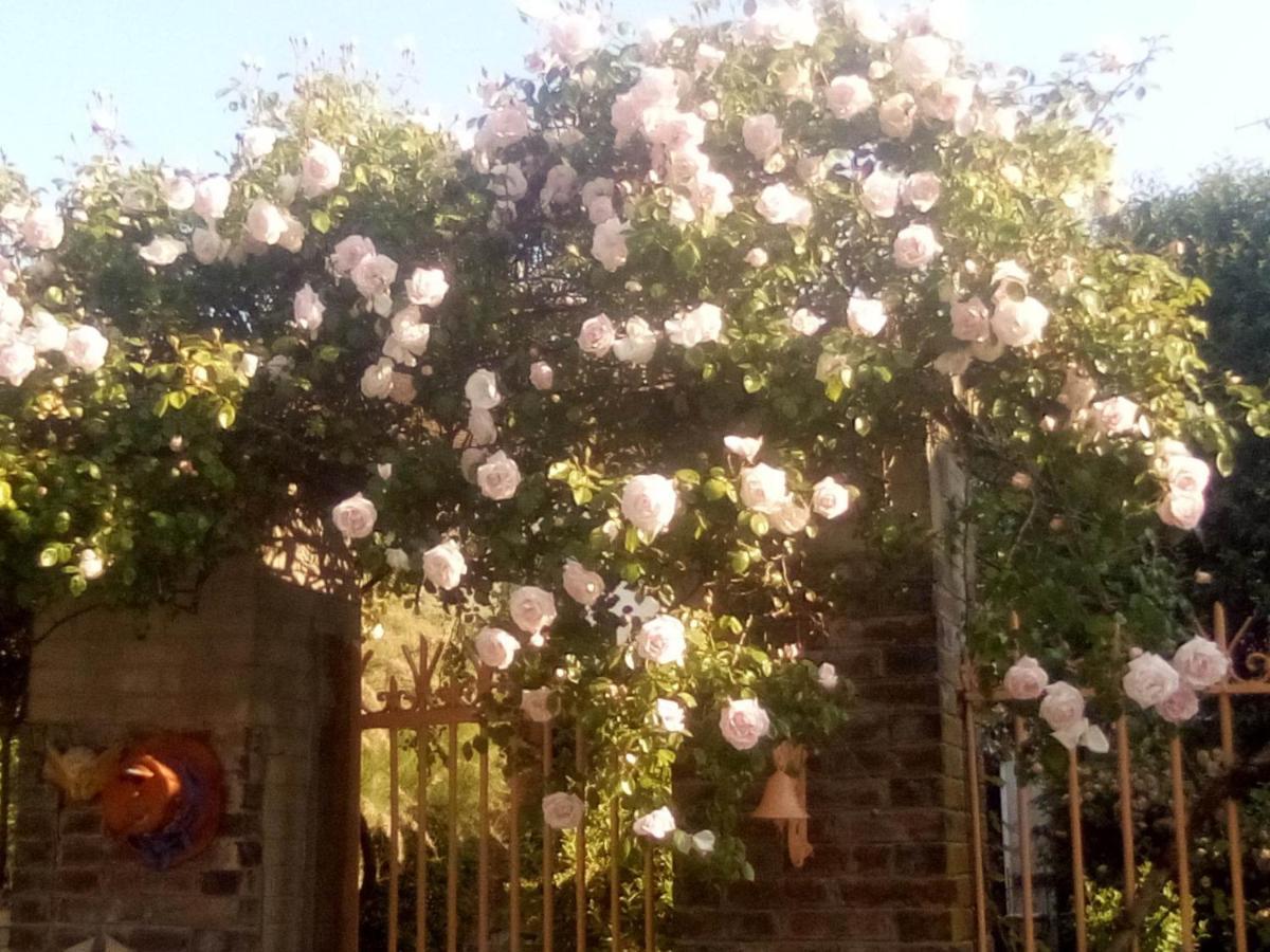 Arthonnay La Grille Fleurie, Chambres D'Hote Chez L'Habitant المظهر الخارجي الصورة