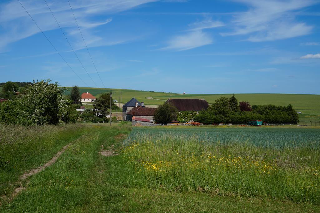 Arthonnay La Grille Fleurie, Chambres D'Hote Chez L'Habitant المظهر الخارجي الصورة
